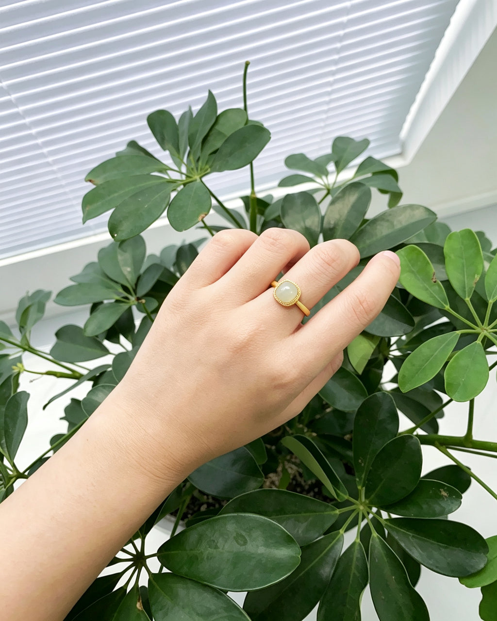 Square Sugar Ring – Inner Square, Outer Circle