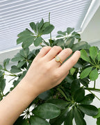 Square Sugar Ring – Inner Square, Outer Circle