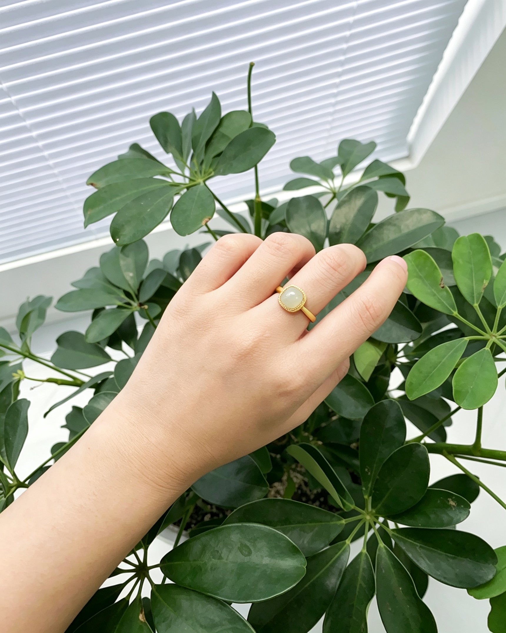 Square Sugar Ring – Inner Square, Outer Circle