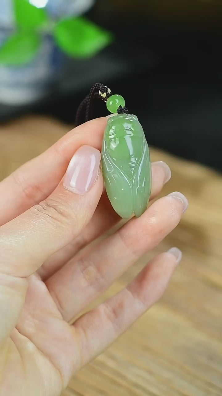 Jade Cicada – Success & Breakthrough